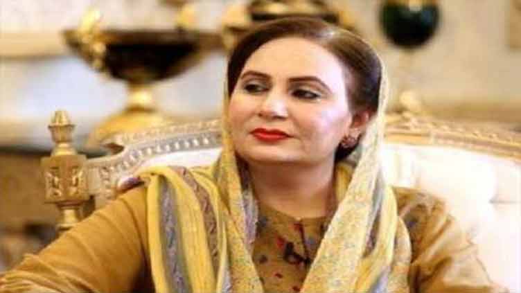 Seasonal finance ministers came only to save their wealth: Cheema