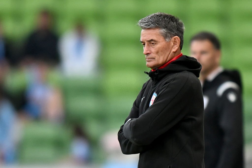 Empowerment key to Melbourne City's success, says coach Vidosic