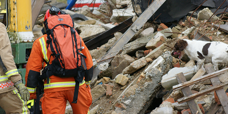 Are we ready for catastrophe rescue?