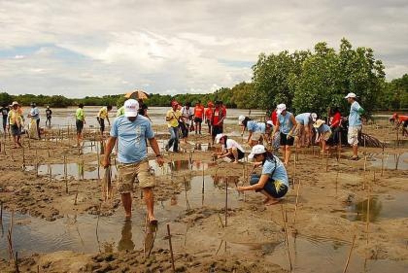Promoting concept of `Green Entrepreneurship’ stressed to combat climate change damages