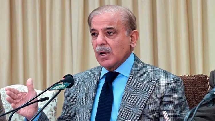 Imran Niazi fanning fire of instability in country: PM