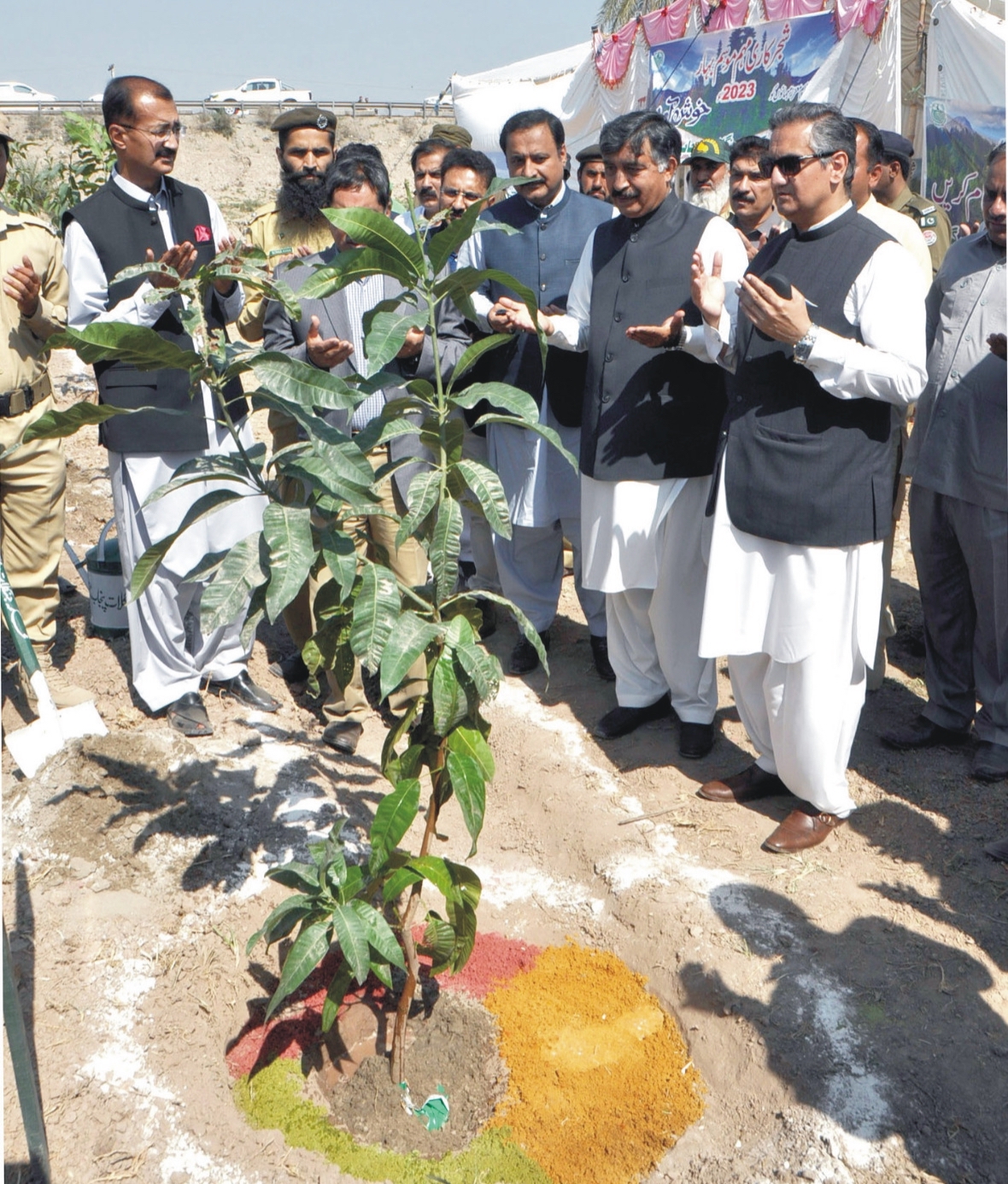Forest department of South Punjab launches spring plantation campaign