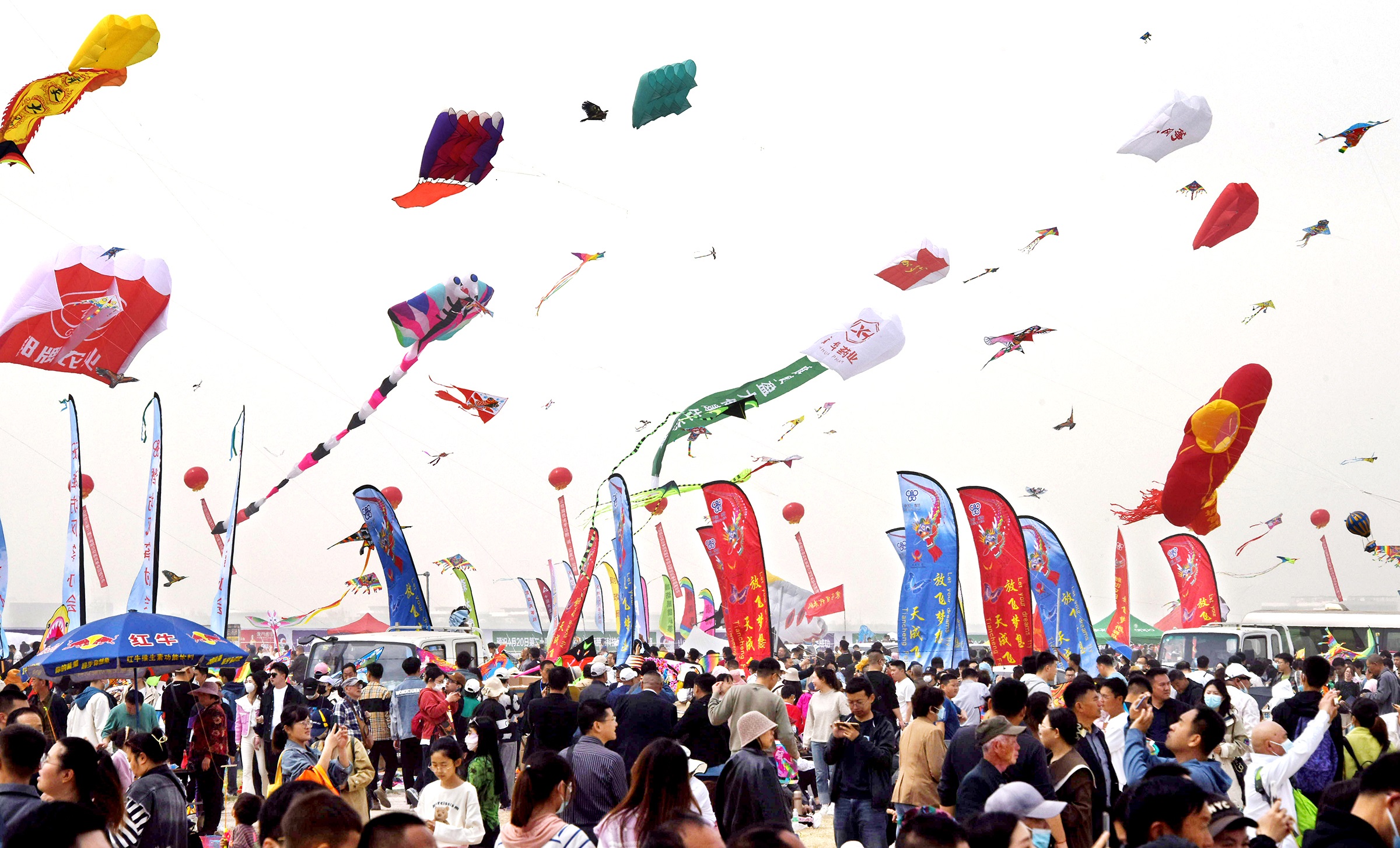 Kite flying claims another life
