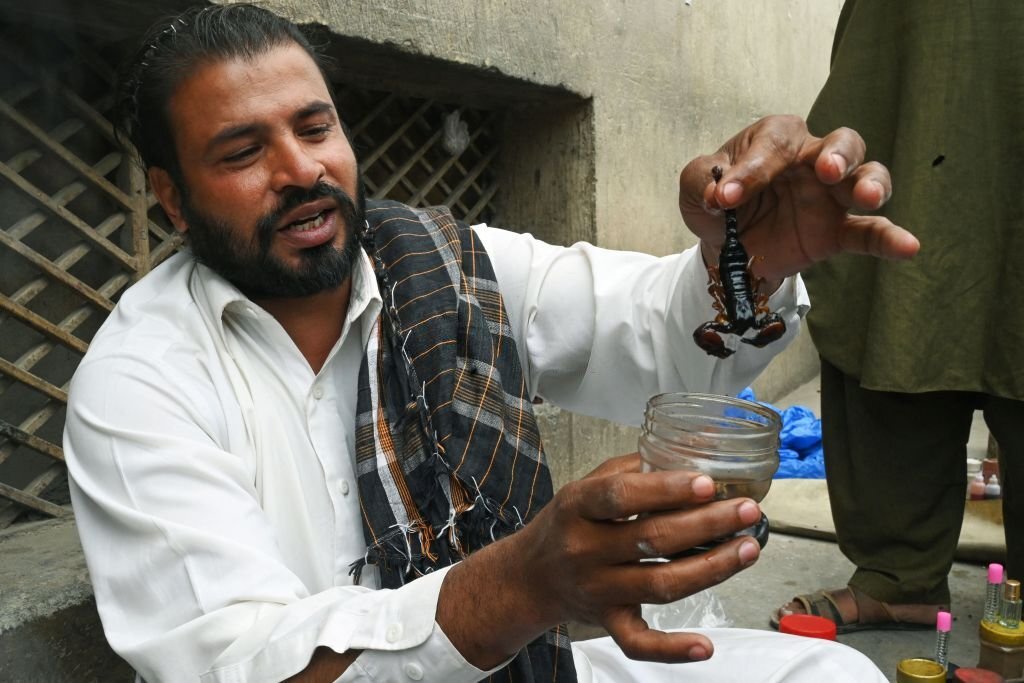 Quack 'aphrodisiac' from lizard a hit in Pakistan