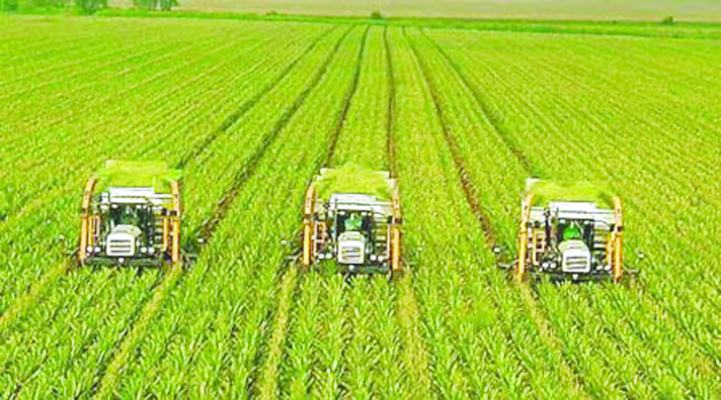 Achieving food security