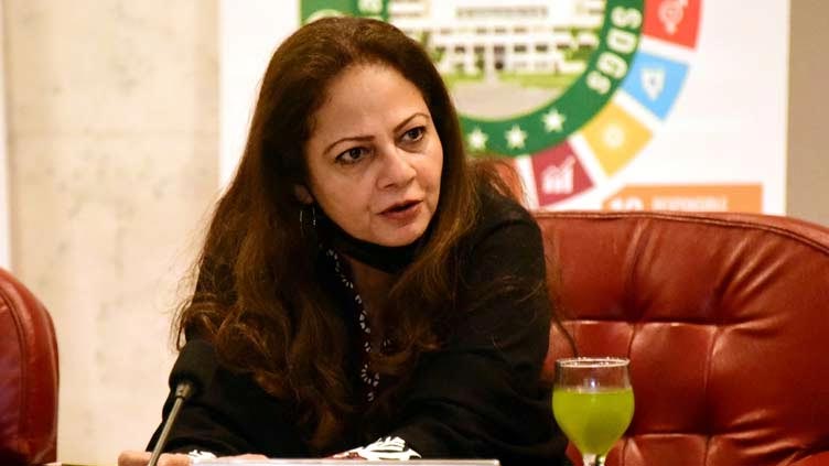 ‘Plan B’ always there if deal with IMF not reached: Aisha Ghaus Pasha