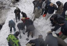 Avalanche kills nine members of family in Chitral village