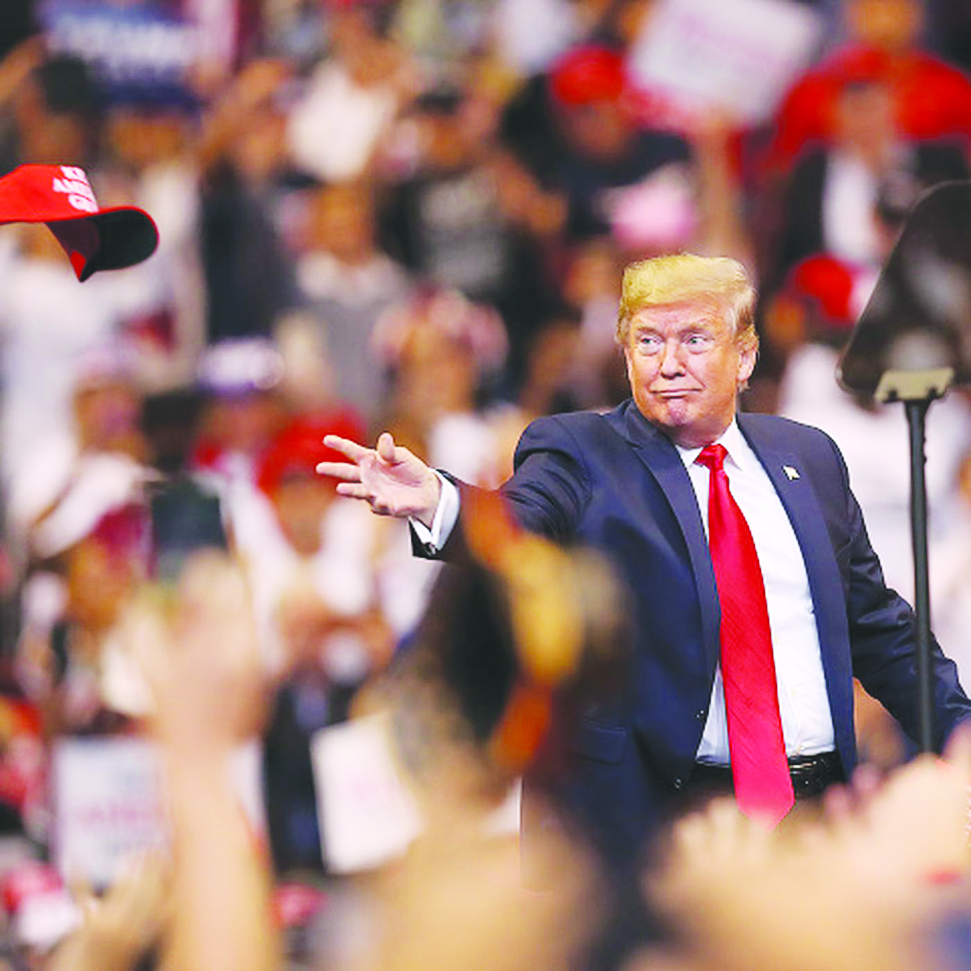 Focus on the Trump cult