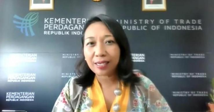 Strong ties, cultural similarities to help promote tourism, trade between Indonesia, Pakistan