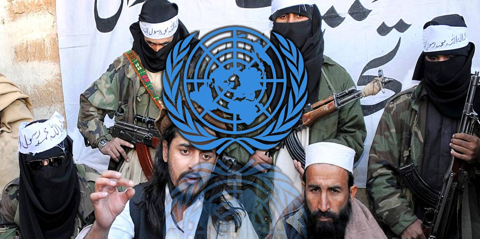 UNSC report underscores TTP's persistent threat to Pakistan’s security