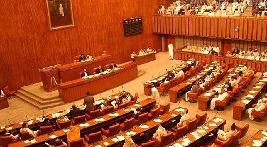 Senate resolution calls for 'severe punishment' for anti-army propaganda