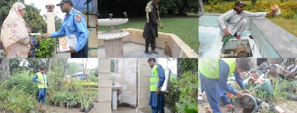 Lahore PHA combats dengue through awareness and larvae control