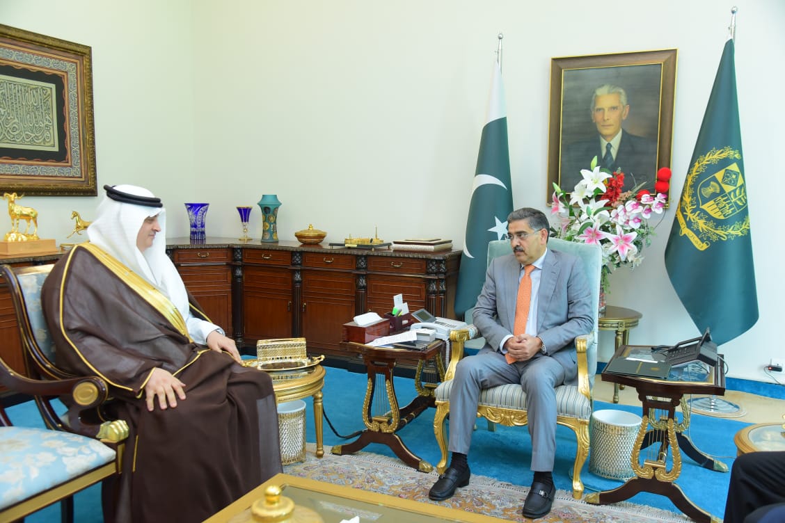 SIFC to continue working for fast-track foreign investment: PM