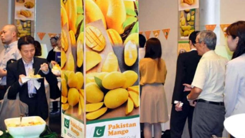 Pakistani mangoes become center of attraction at China-Eurasia expo