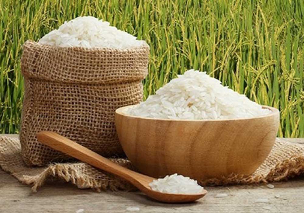 Global rice price index reaches record high in 12 years
