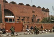 PCB releases ticket prices for Australia T20I series