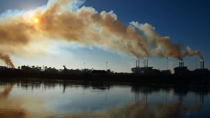 Pak-China alliance to combat soil heavy metal pollution