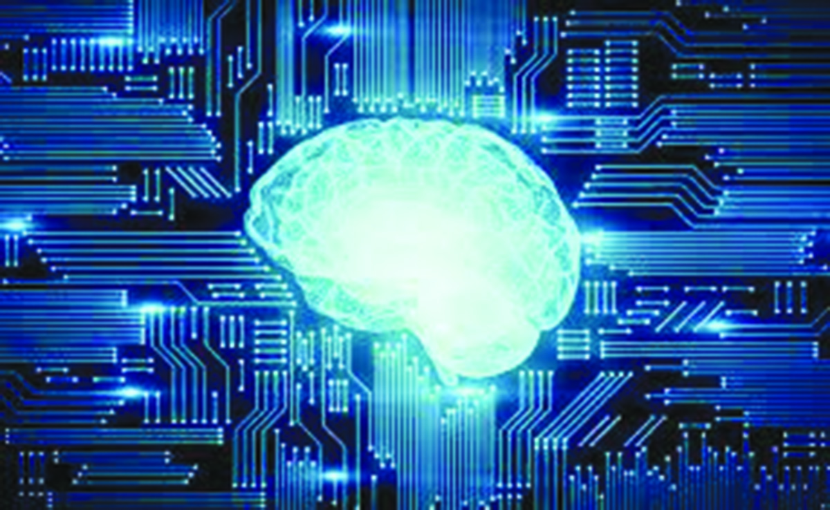 Brains and Drains in Pakistan
