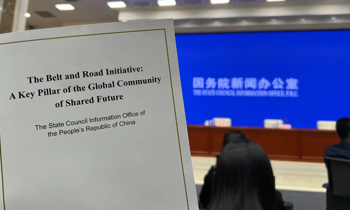 White Paper: A decade of BRI ushers in 'illustrating path' to global connectivity, prosperity