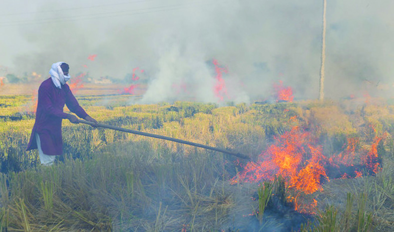 Stubble burning: Unravelling the smog crisis in Pakistan