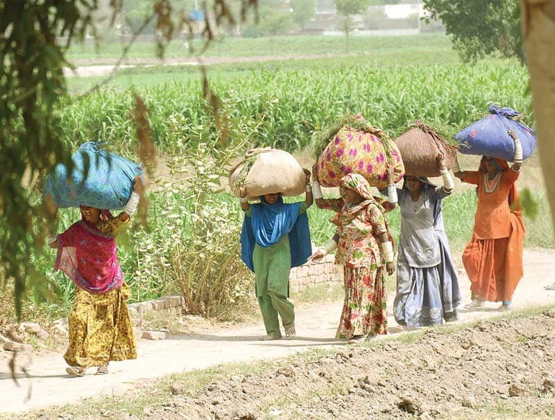 Reverse migration: poor return to villages as living costs surge in cities