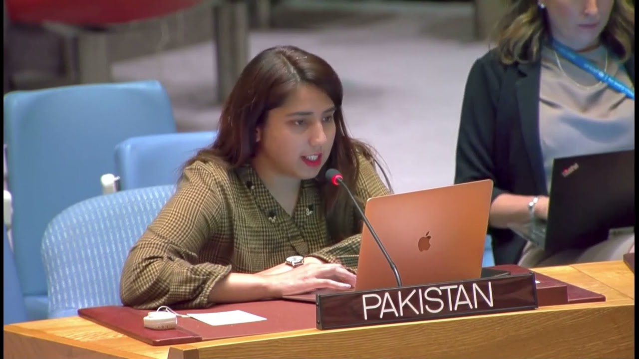 Pakistan expresses concerns over cycle of occupation, violence in Palestine