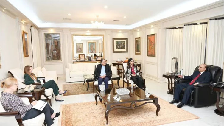 British High Commissioner calls on PPP president Asif Zardari