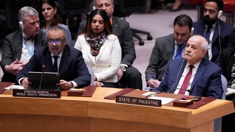 WHO chief tells UNSC one child killed in Gaza every 10 minutes