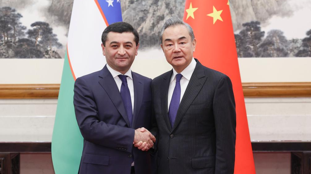 Key issues taken up at first China-Uzbekistan foreign ministers' strategic dialogue