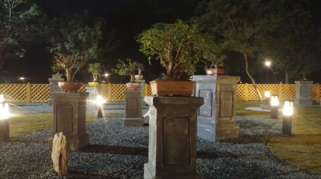 Lahore's first Bonsai centre showcasing miniature trees opened at Jilani Park