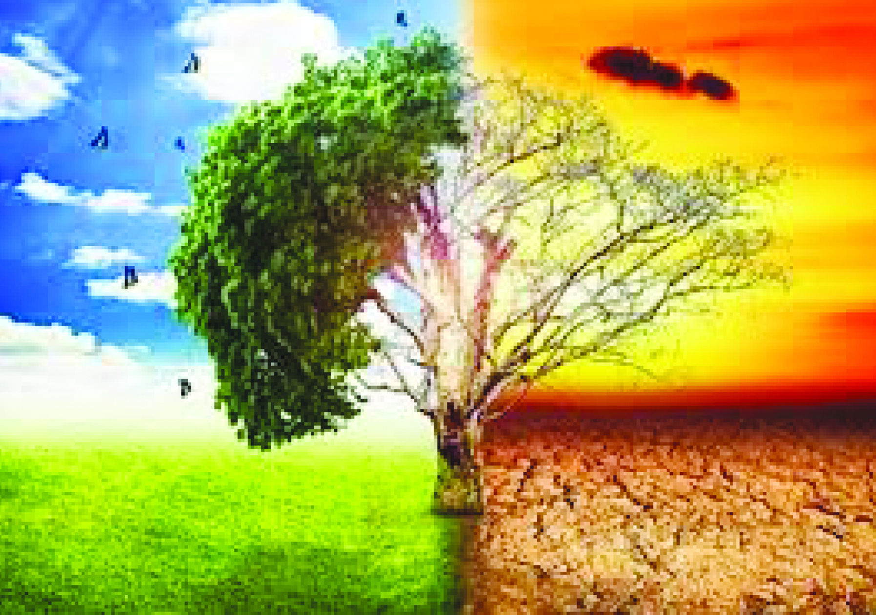 Eco-friendly strategies to combat climate change are urgent