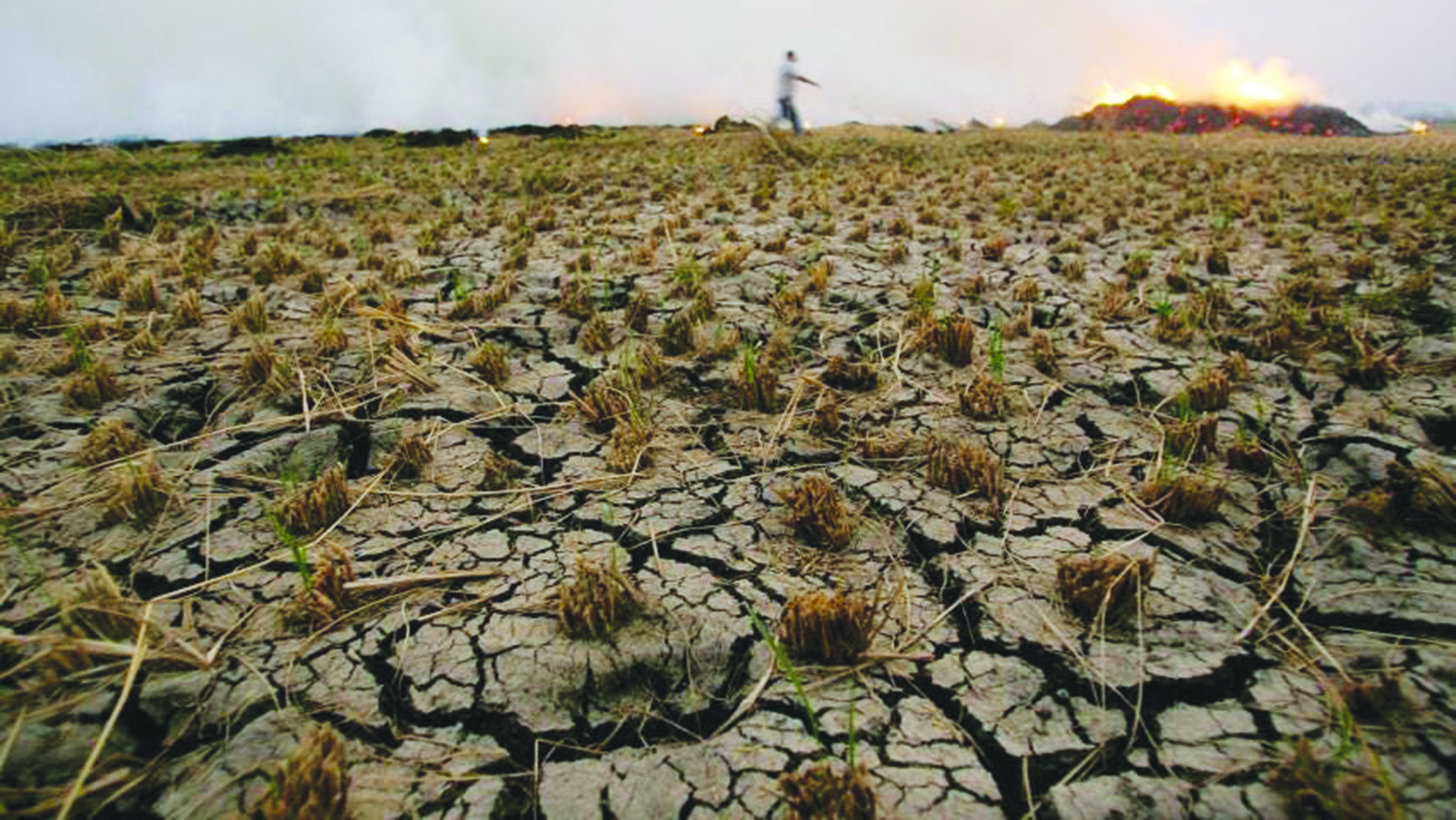 Biblical Egypt’s climate actions in today’s emergency