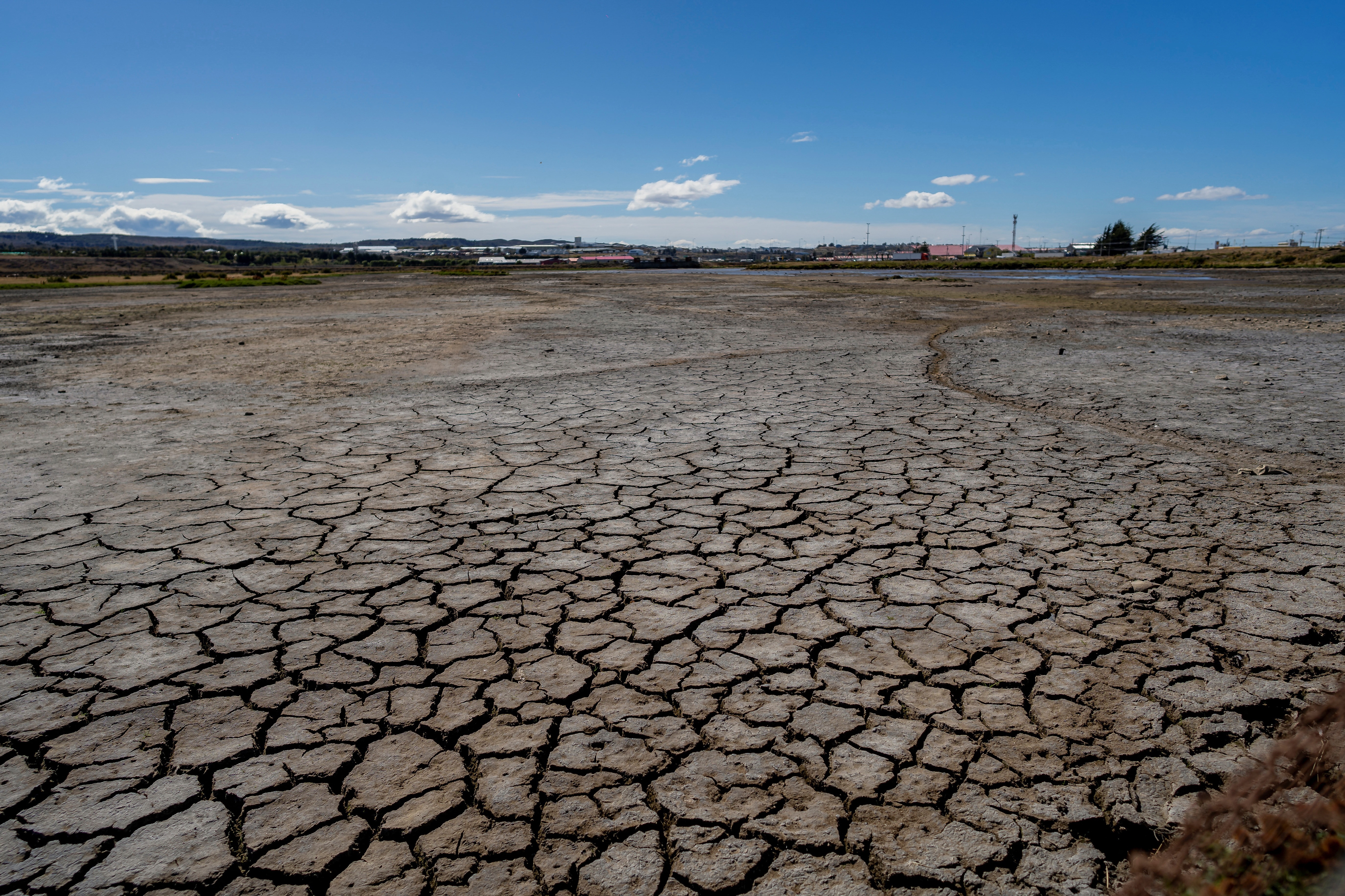 ‘Silent devastation’ of drought set to increase globally as climate change worsens: UN reports