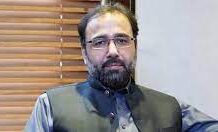 PM took notice of passenger offloading, ordered committee to review issue: Salik Hussain