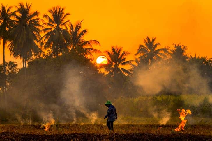 Agriculture in pollution: Possibilities ahead