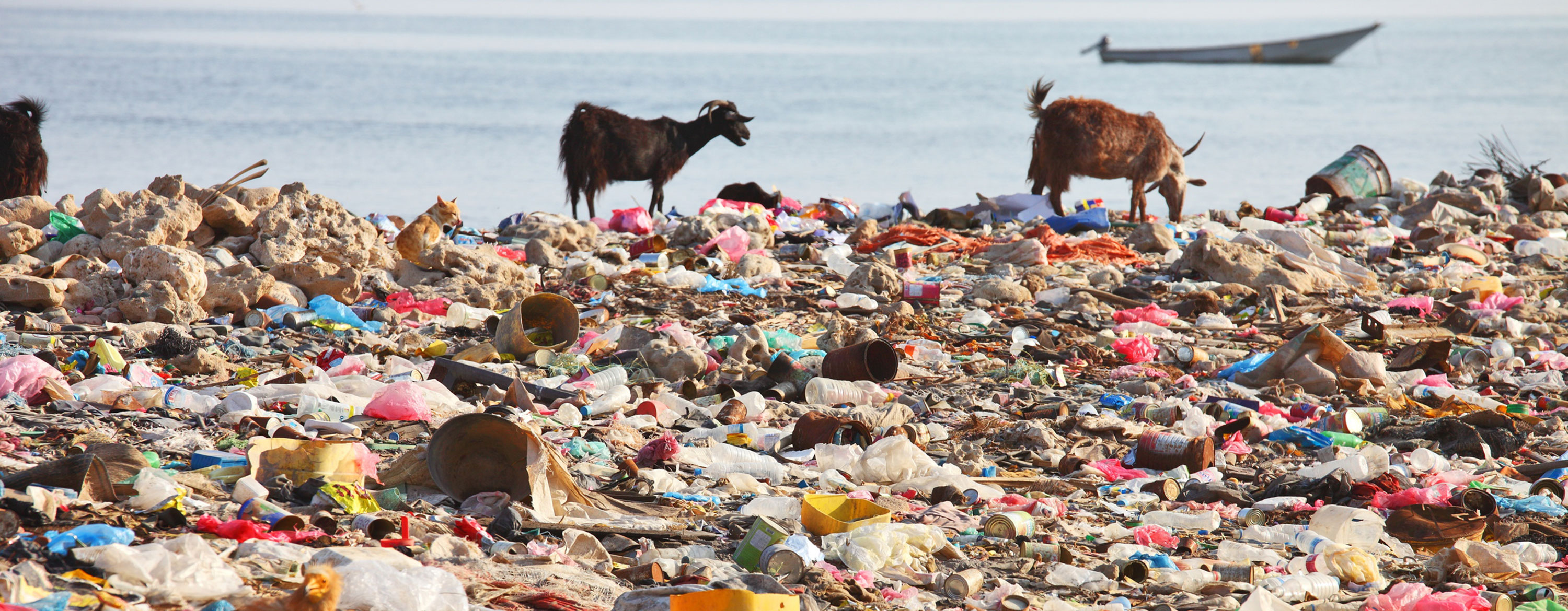 E-Pollution and Modernity: Challenges Ahead