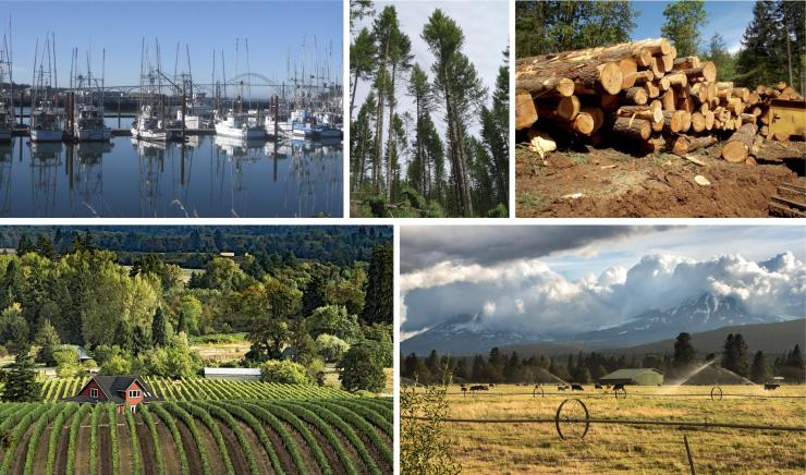 Natural resources: Conservation, use and reuse
