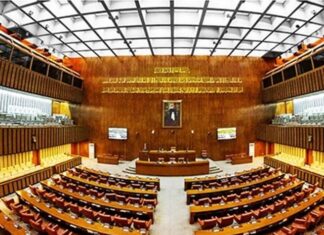 Rana Sanaullah calls for national unity as Senate condemns Balochistan terror attacks