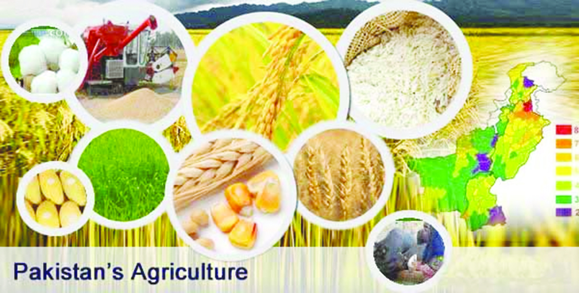 Leveraging CPEC-2’s Agriculture component