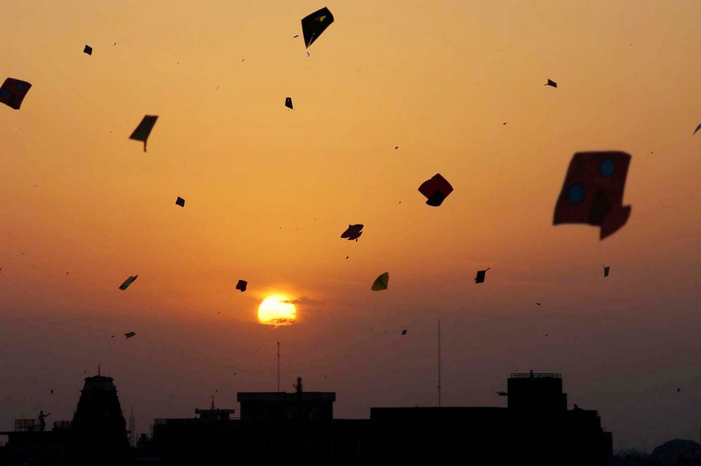 New law for kite flying proposed, violators to be imprisoned for 5
