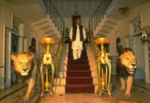 Crackdown on illegal possession of wildlife in Punjab: Marriyum Aurangzeb issues directives