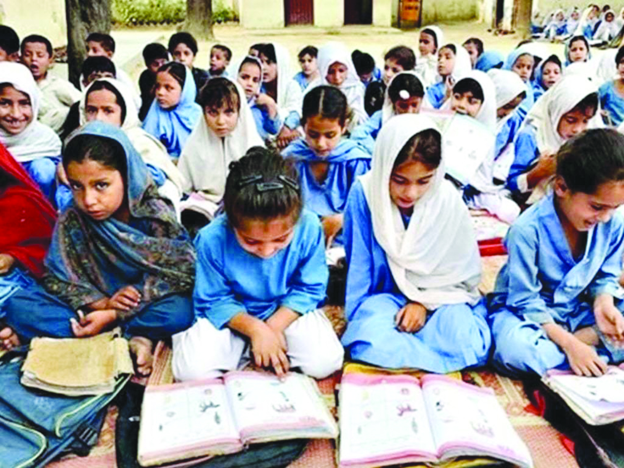Seedlings of change: Primary education as the root of social transformation