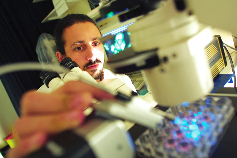 The significance of R&D and the government’s role