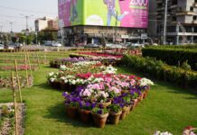Lahore flourishes with seasonal blooms before Eid