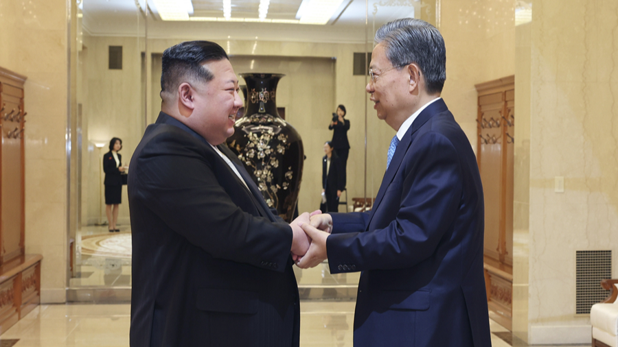 China's top legislator meets DPRK leader Kim Jong-Un
