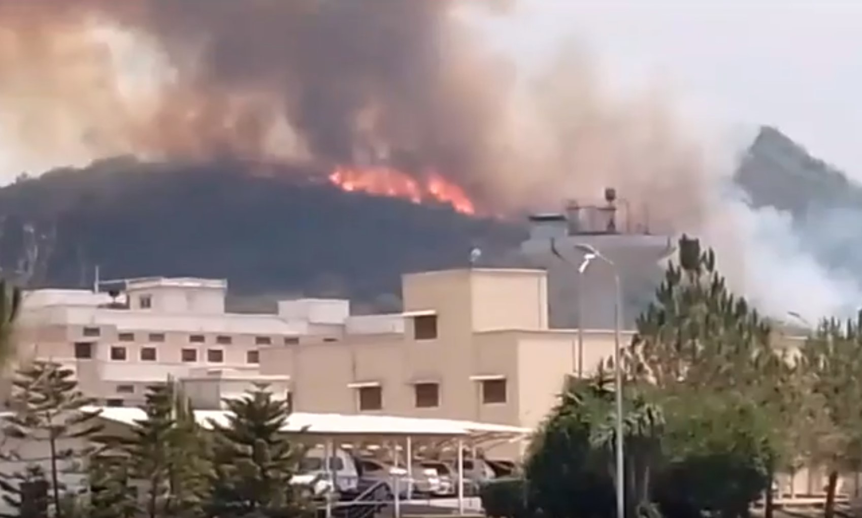 Battle on to douse new round of bushfires on Margalla Hills