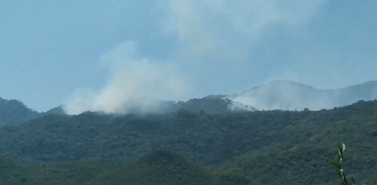 Fire engulfs Islamabad’s Margalla Hills due to extreme heat wave