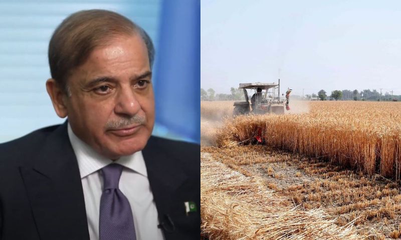 PM envisions mobile app as solution for transparent wheat procurement