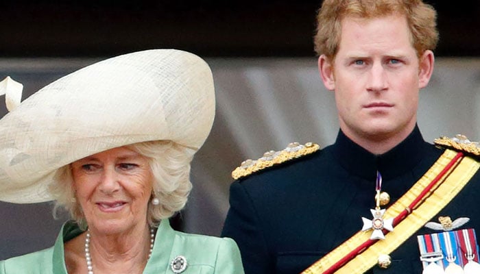 Prince Harry viral comment over meeting Queen Camilla resurfaces