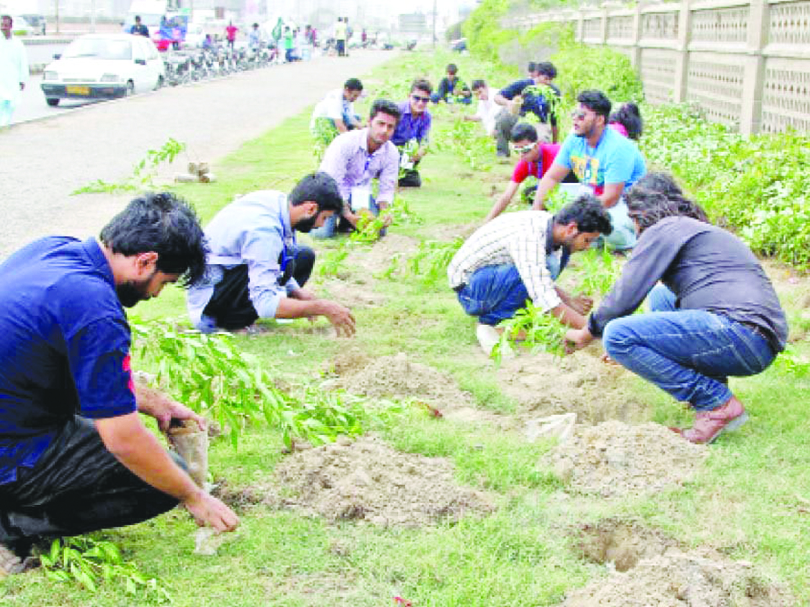 Plantation only hope of survival in Pakistan